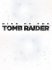 Tomb Raider: Rise of the Tomb Raider (steam)